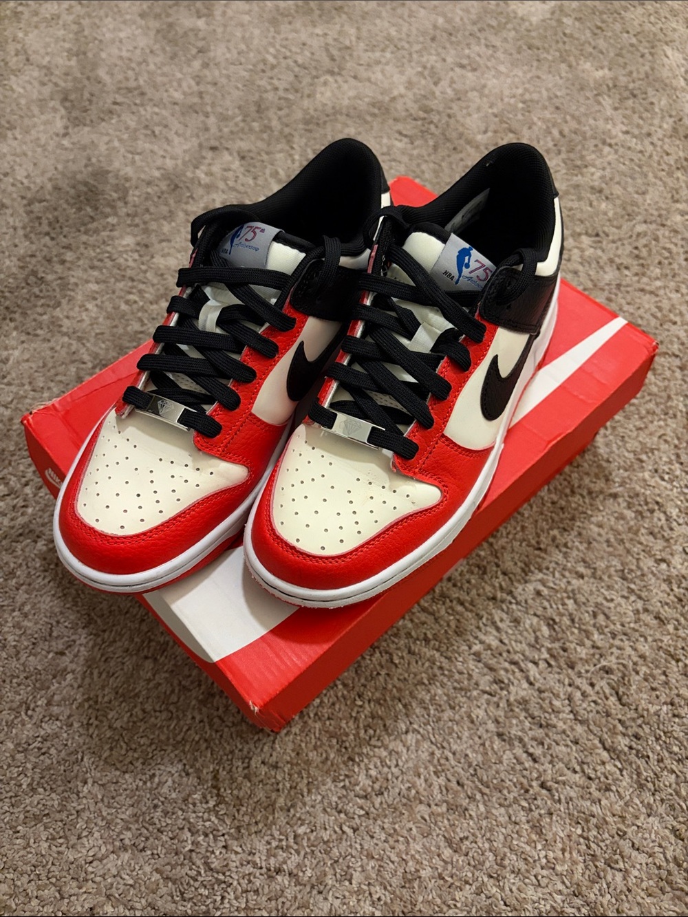 Nike Dunk Low (GS) black red and black